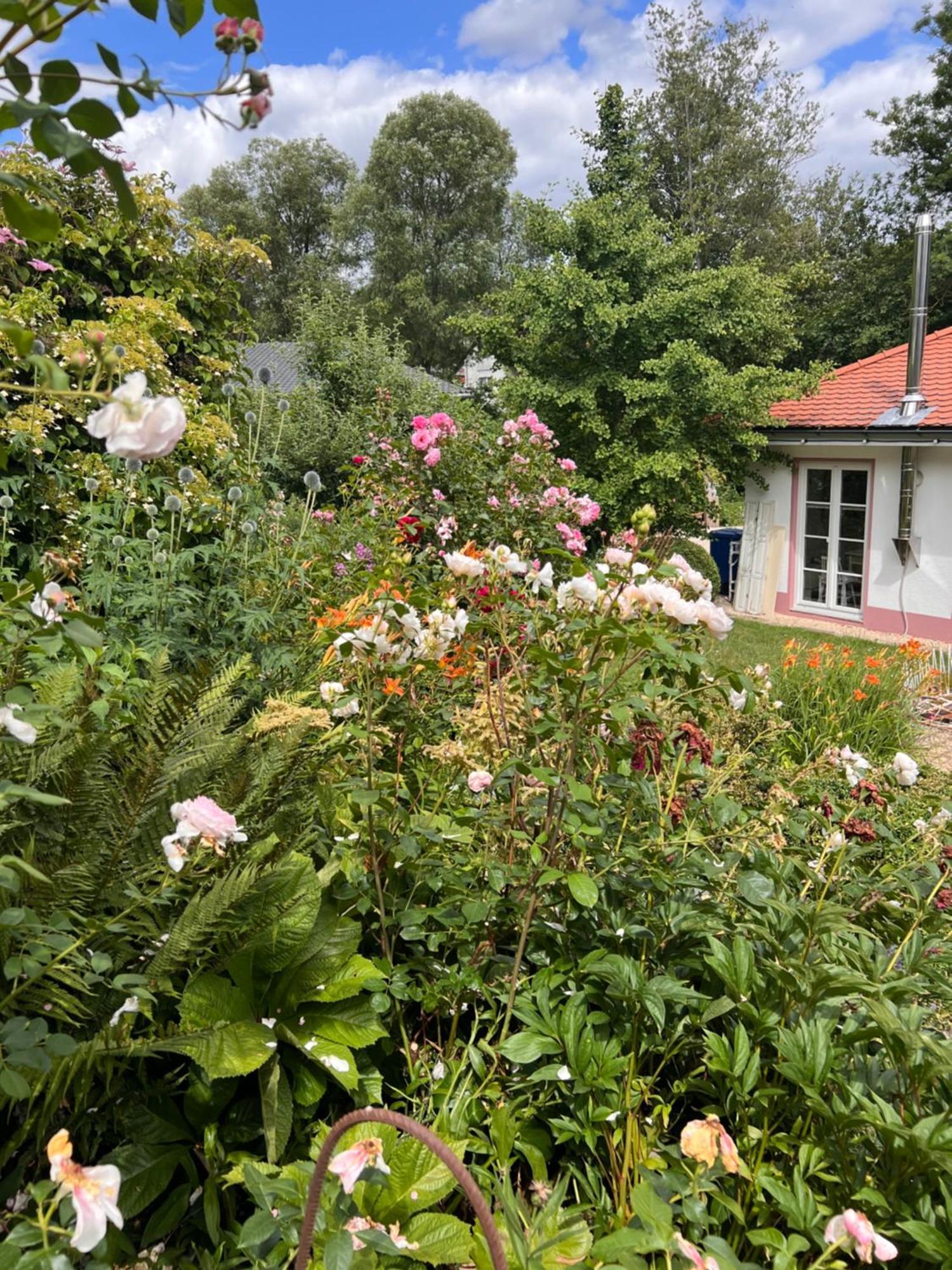B&B Rosenliebe Niedereschach Exterior photo